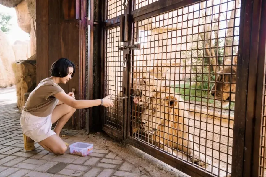Tiket Bali Zoo